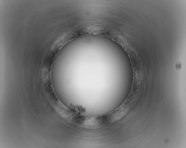 X0000092260705200709141209