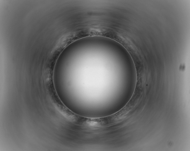 X0000092260706200709141209