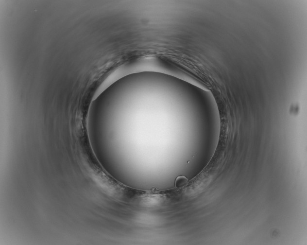 X0000092260711200709141209