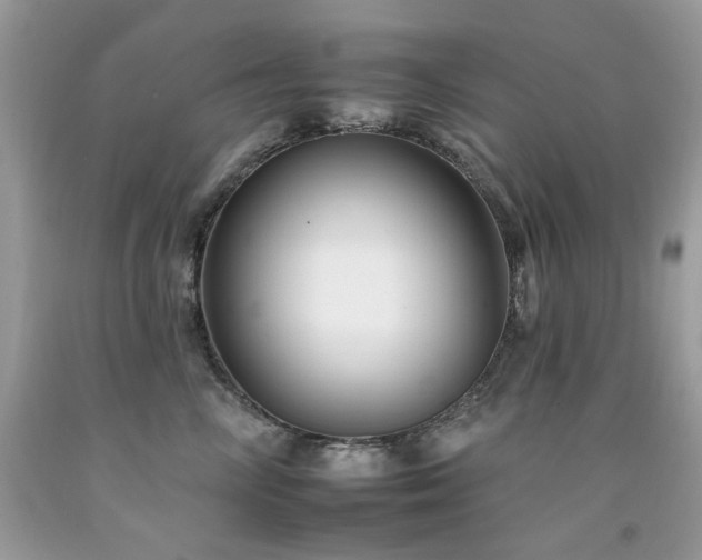 X0000092260714200709141209