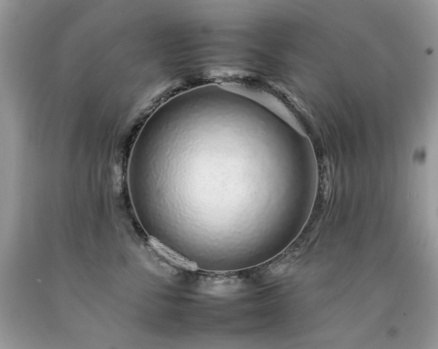 X0000092260716200709141209