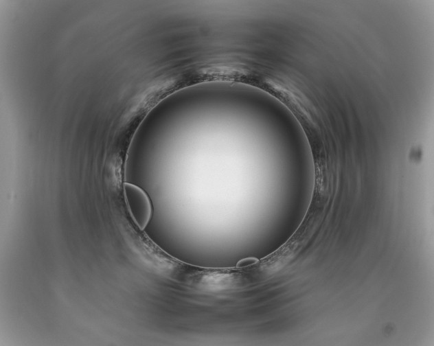 X0000092260718200709141209