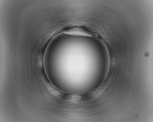 X0000092260719200709141209