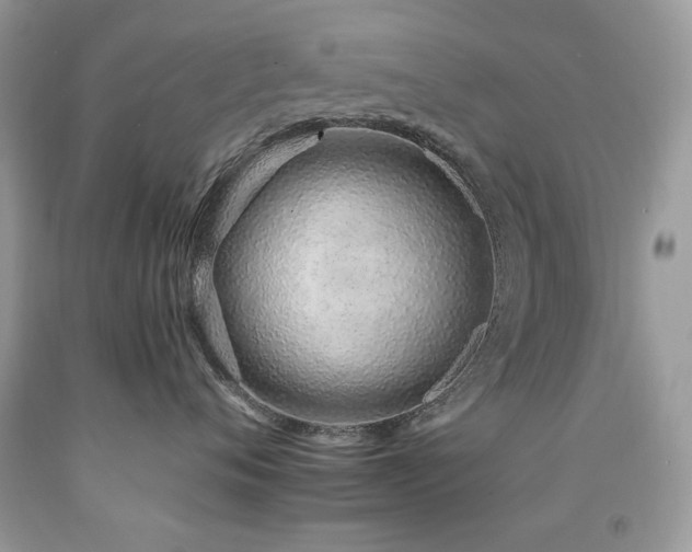 X0000092260720200709141209