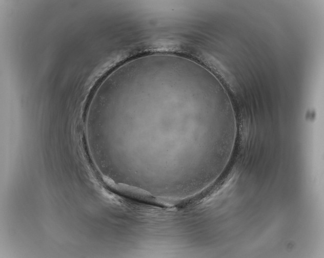 X0000092260721200709141208