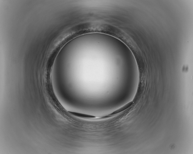 X0000092260722200709141208