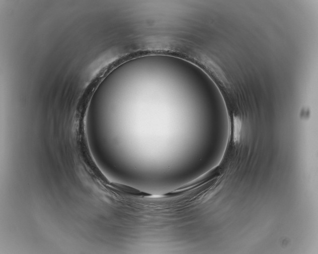 X0000092260723200709141208
