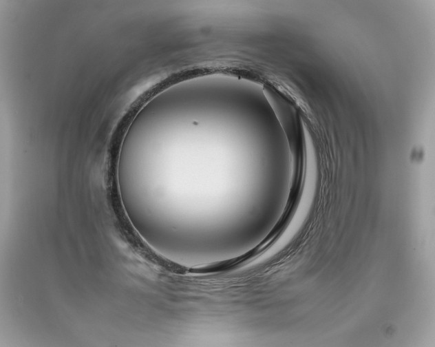 X0000092260724200709141208
