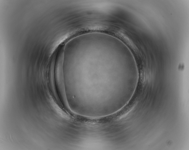 X0000092260725200709141208