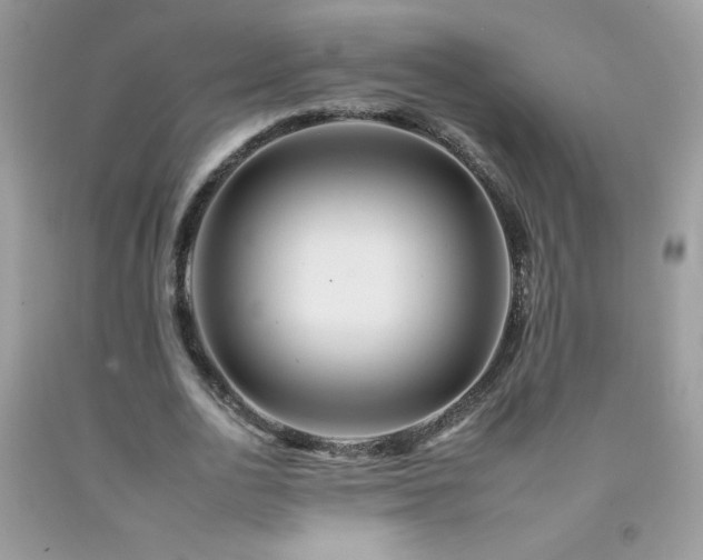 X0000092260726200709141208