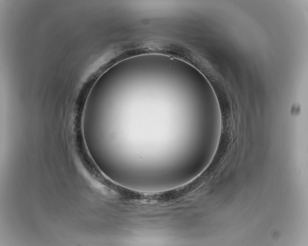 X0000092260730200709141208