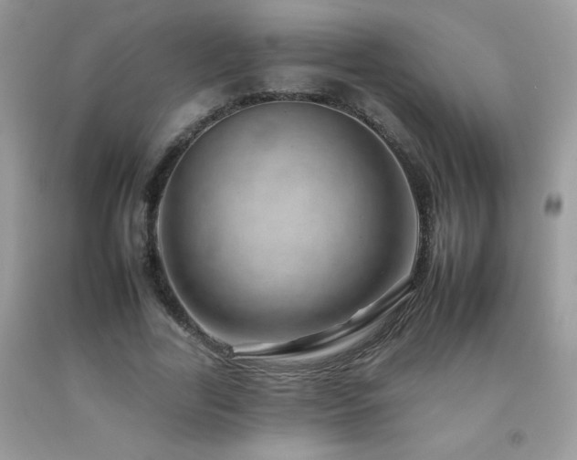 X0000092260731200709141208