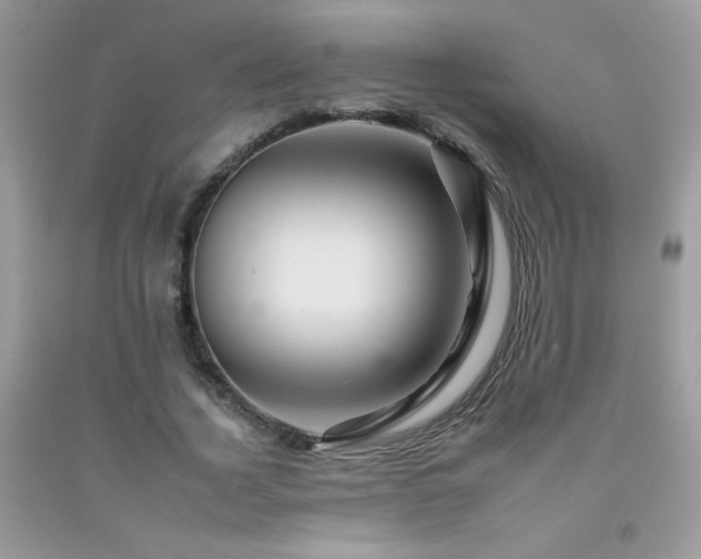 X0000092260732200709141208
