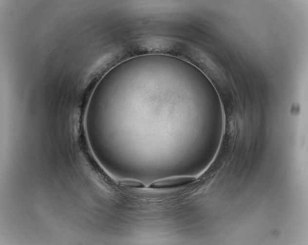 X0000092260733200709141208