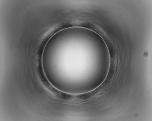 X0000092260734200709141208