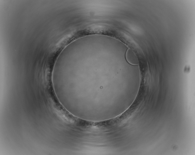 X0000092260737200709141208