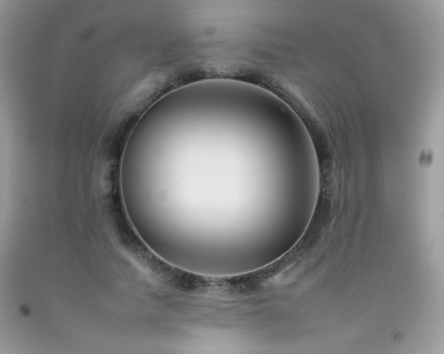 X0000092260738200709141208