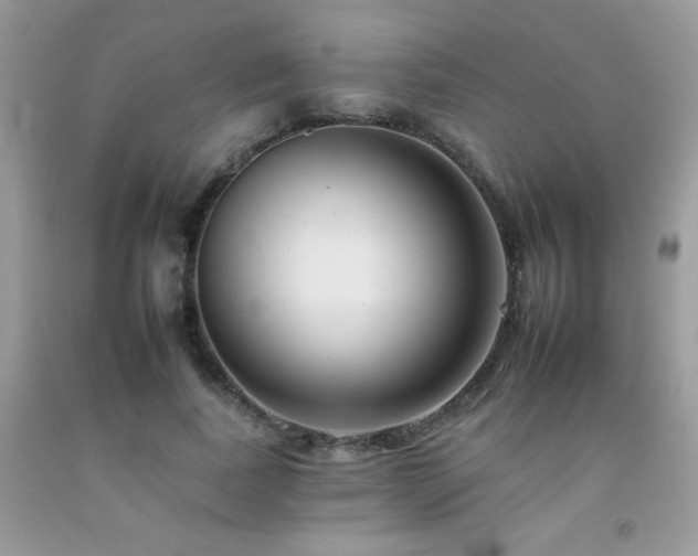 X0000092260739200709141208