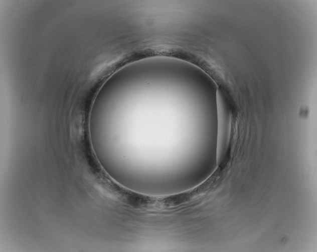 X0000092260740200709141208