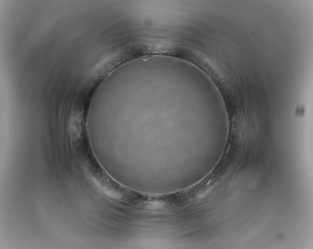 X0000092260741200709141208