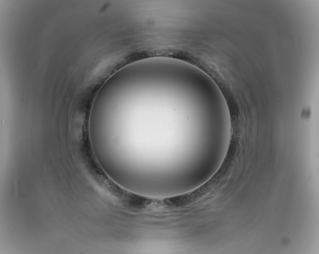 X0000092260742200709141209