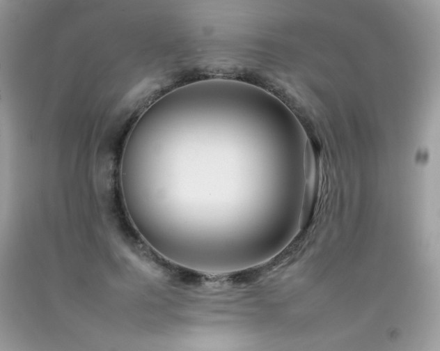 X0000092260744200709141209