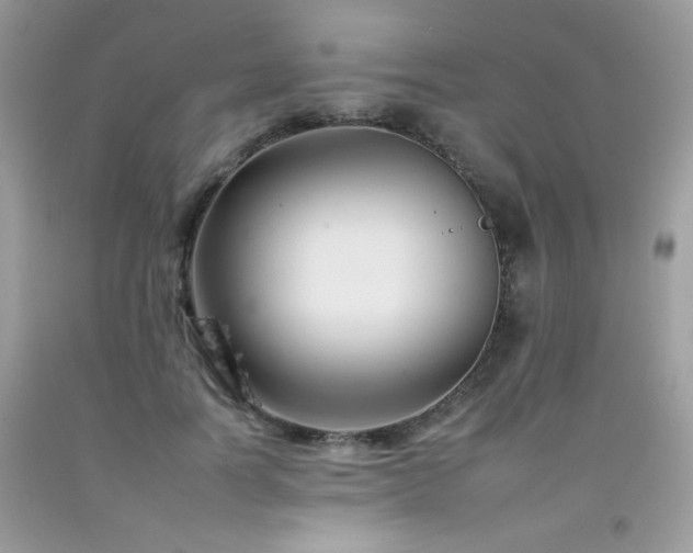 X0000092260746200709141209