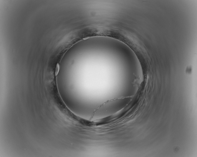 X0000092260748200709141209