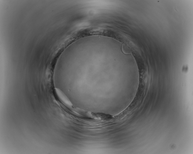 X0000092260753200709141209