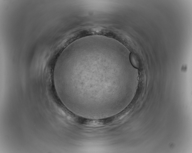 X0000092260754200709141209