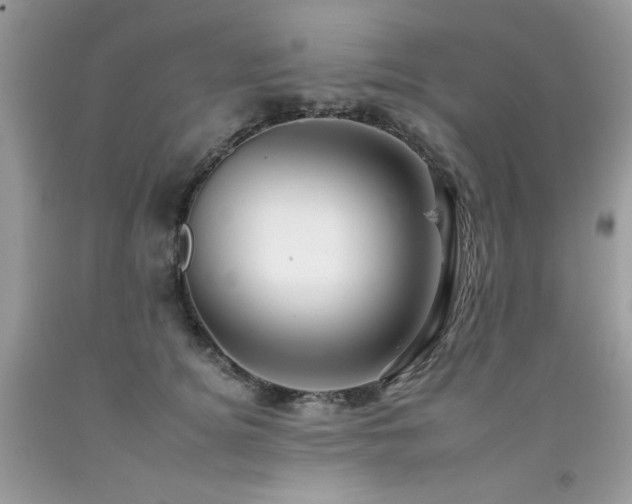 X0000092260756200709141209