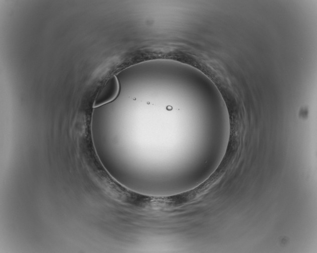 X0000092260758200709141209