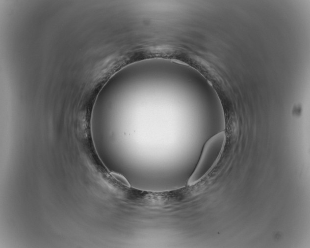 X0000092260764200709141209