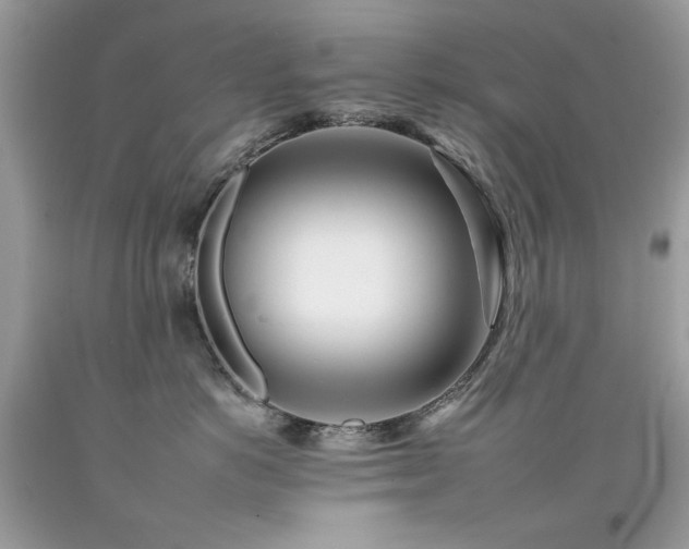 X0000092260766200709141209