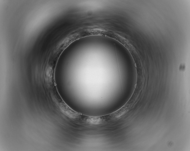 X0000092260767200709141209