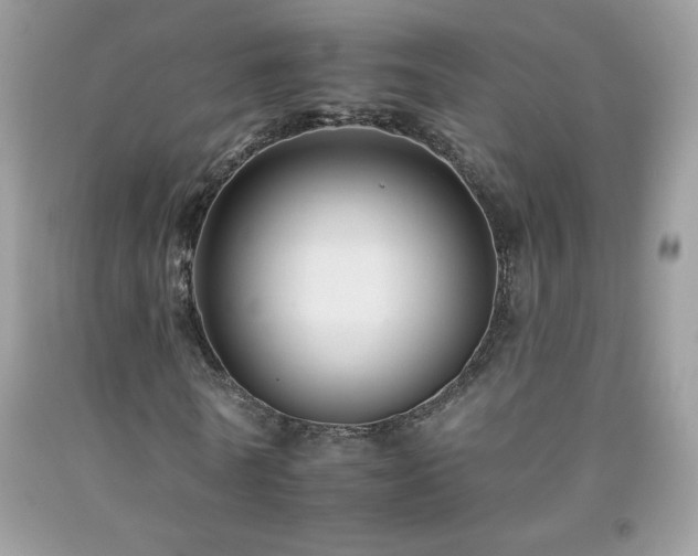 X0000092260770200709141208