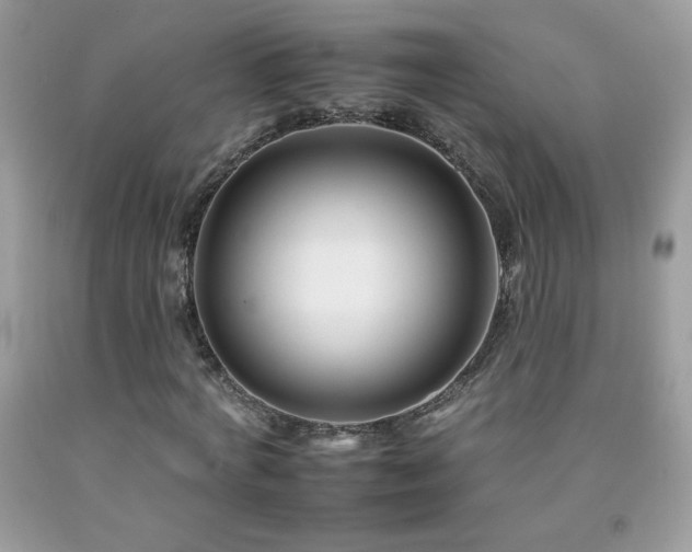 X0000092260772200709141208