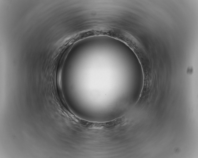 X0000092260773200709141208