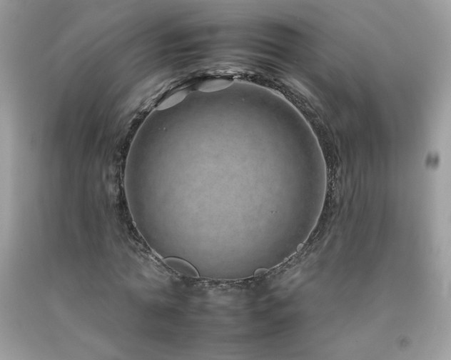 X0000092260774200709141208
