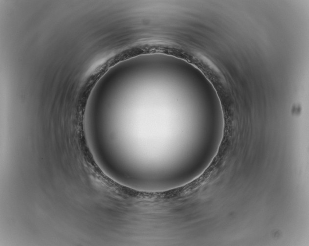 X0000092260775200709141208