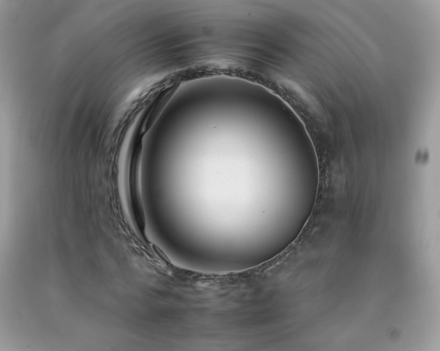 X0000092260776200709141208