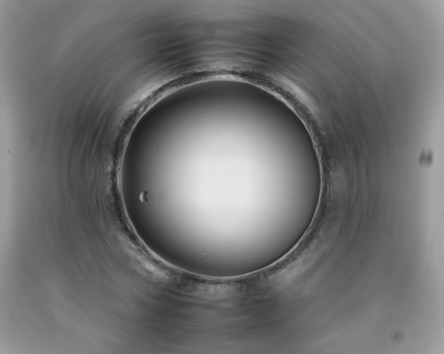X0000092260778200709141208