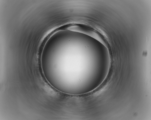 X0000092260779200709141208