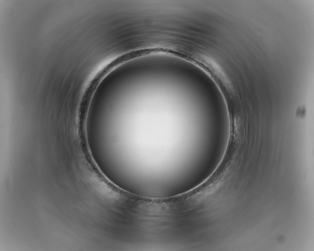 X0000092260780200709141208