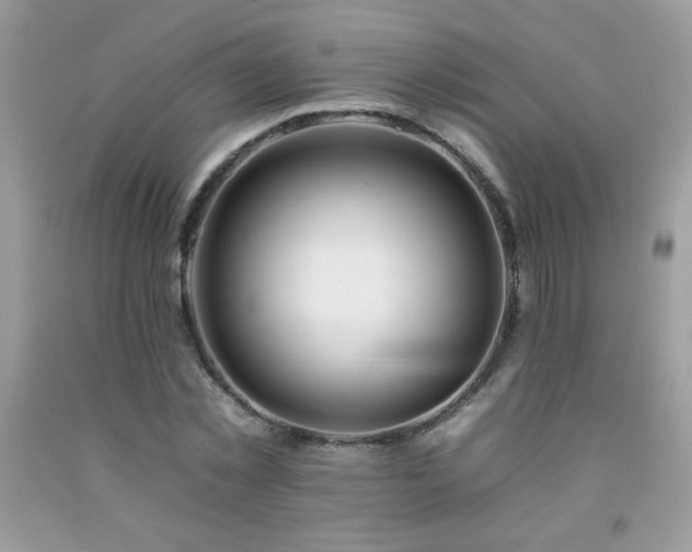 X0000092260781200709141208