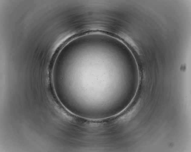 X0000092260782200709141208