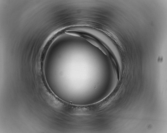 X0000092260784200709141208