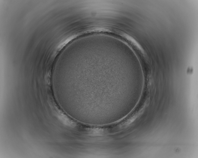 X0000092260785200709141208