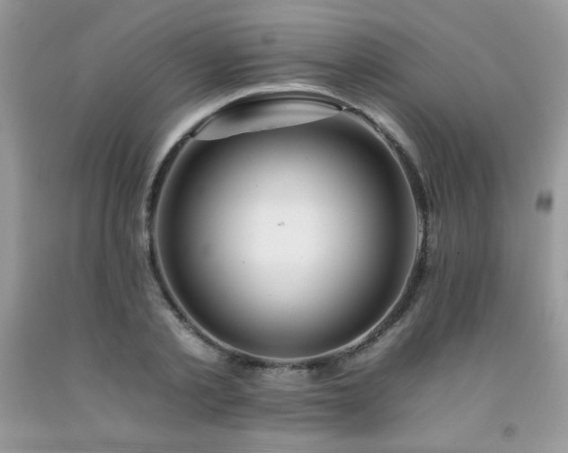 X0000092260789200709141208