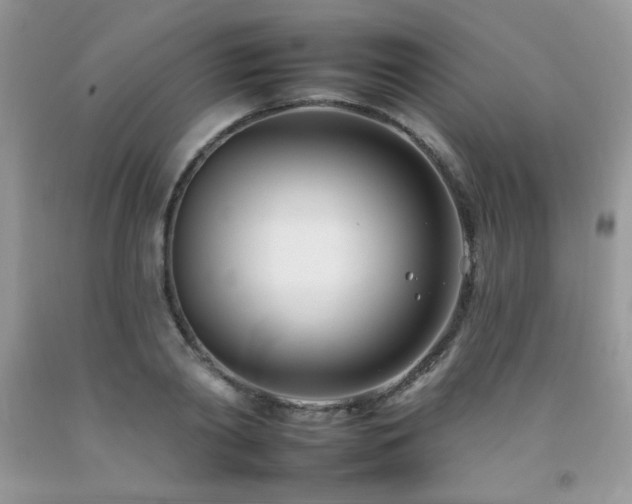 X0000092260790200709141208